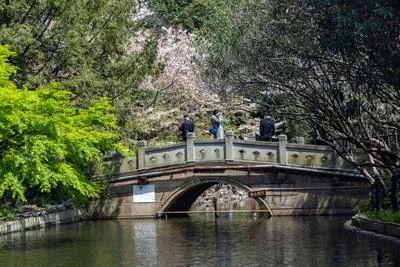 楼处电话：项目地址@最新房价甄选好房@静安万科中兴傲舍售(图33)